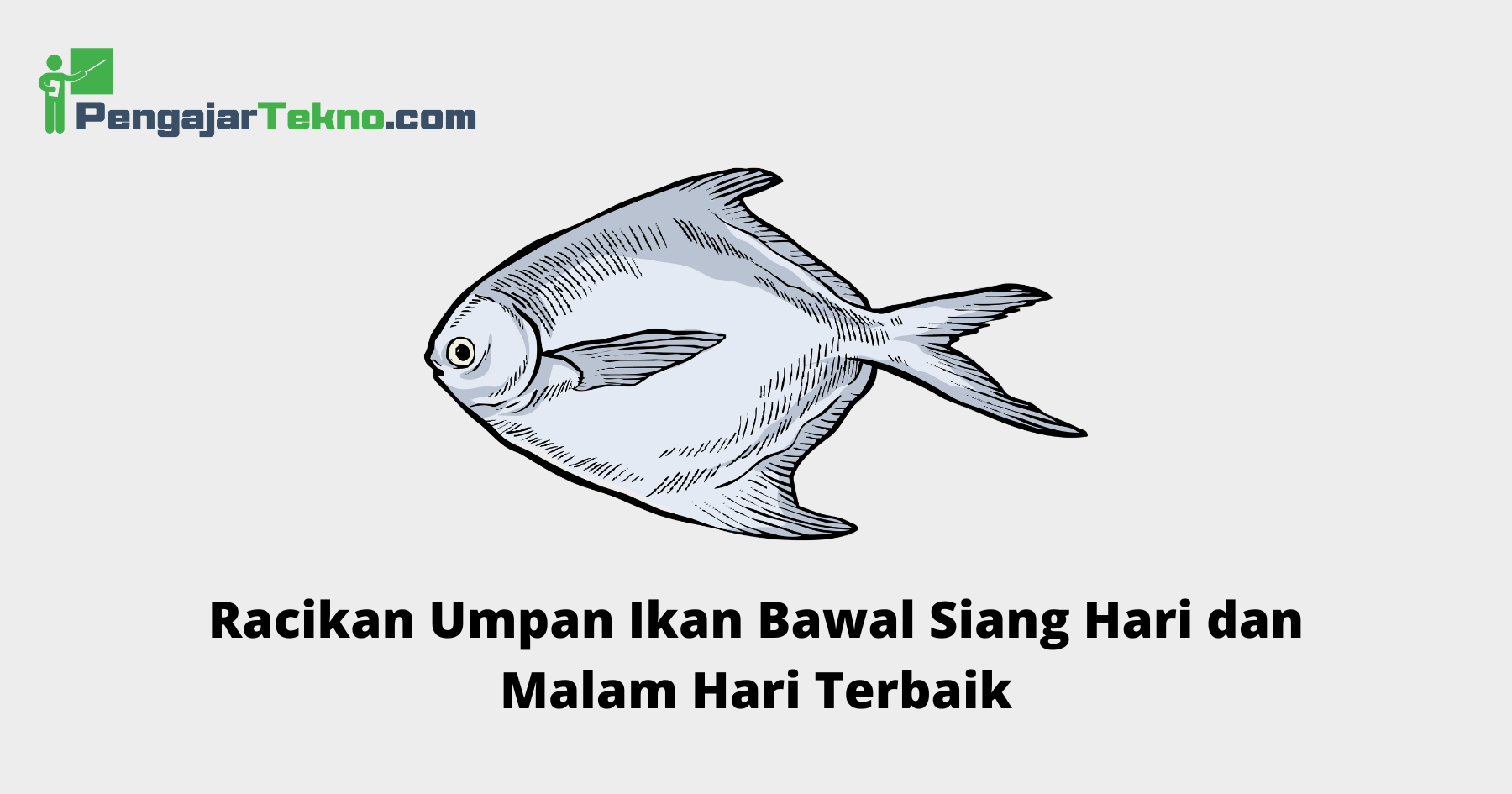 Umpan Ikan Bawal Siang Hari